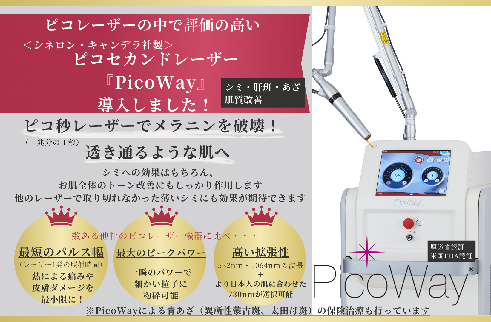 ピコ秒レーザー治療入門 ピコ秒レーザー治療入門 | 葛西健一郎 |本 | 通販 | Amazon